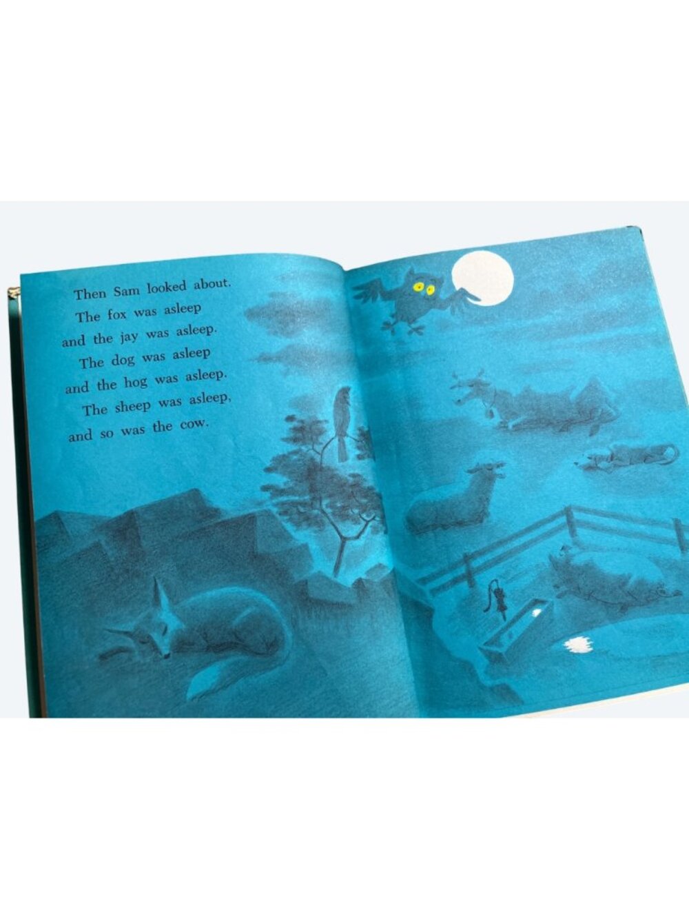 Sam And The Firefly P.D. Eastman 1958 Beginner Books Hardcover Book Club Edition - Picture 13 of 16